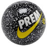 Футбольный мяч Nike Premier League Pitch
